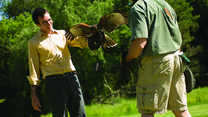 The Falconry Experience